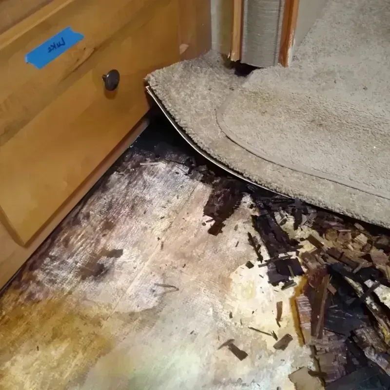 Best Wood Floor Water Damage Service in Penobscot County, ME